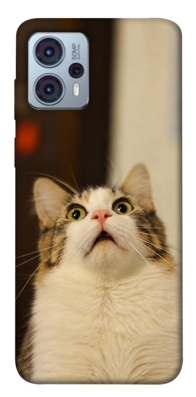 Чохол itsPrint Shocked Cat для Motorola Moto G23, armored, купити оптом з доставкою