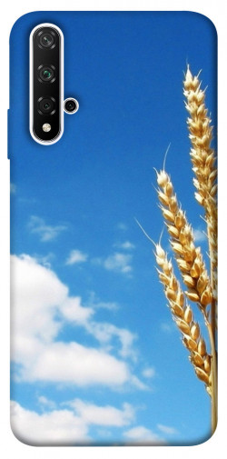 Чехол itsPrint Пшеница для Huawei Honor 20 / Nova 5T