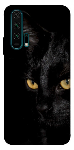 Чехол itsPrint Черный кот для Huawei Honor 20 Pro