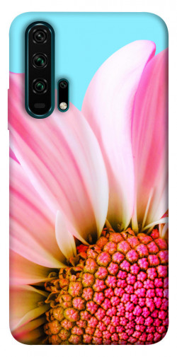 Чехол itsPrint Цветочные лепестки для Huawei Honor 20 Pro