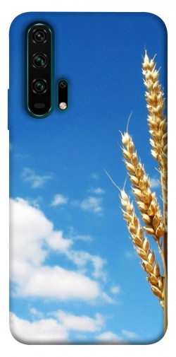 Чехол itsPrint Пшеница для Huawei Honor 20 Pro