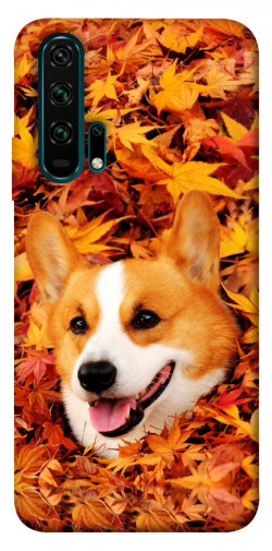 Чехол itsPrint Корги в листьях для Huawei Honor 20 Pro