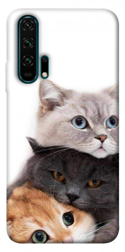 Чехол itsPrint Три кота для Huawei Honor 20 Pro