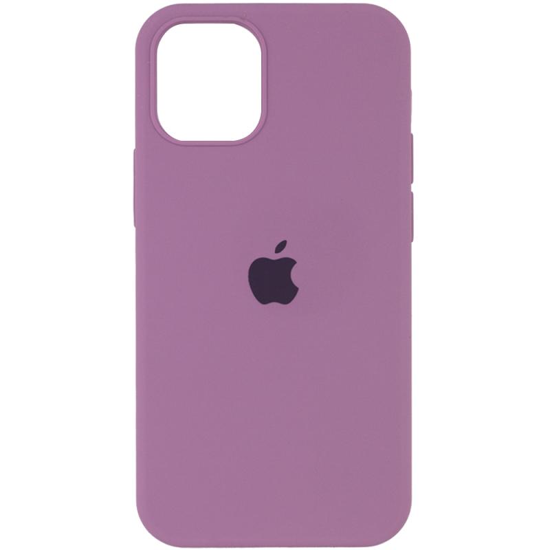 Чехол Silicone Case Full Protective (AA) для Apple iPhone 12 Pro / 12 (6.1) на картинке №1