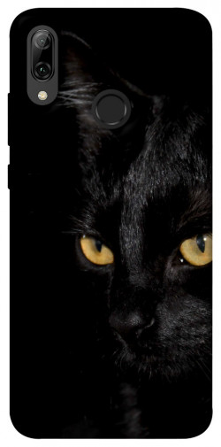 Чехол itsPrint Черный кот для Huawei P Smart (2019)