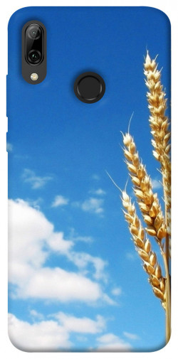 Чехол itsPrint Пшеница для Huawei P Smart (2019)