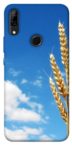 Чехол itsPrint Пшеница для Huawei P Smart Z