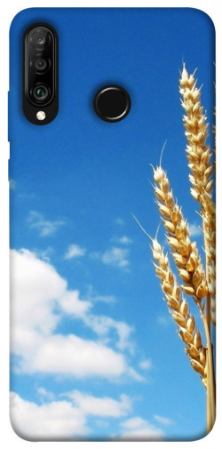 Чехол itsPrint Пшеница для Huawei P30 lite