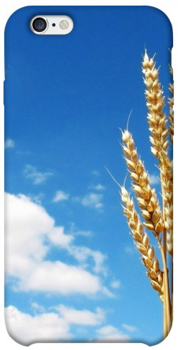 Чехол itsPrint Пшеница для Apple iPhone 6/6s (4.7")