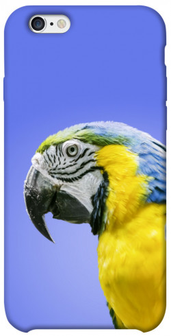 Чехол itsPrint Попугай ара для Apple iPhone 6/6s (4.7")