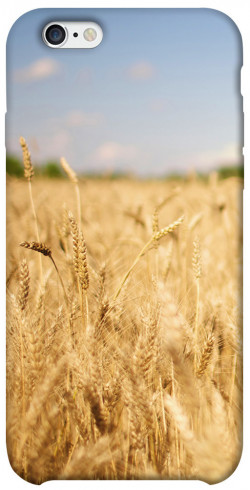 Чохол itsPrint Поле пшениці для Apple iPhone 6/6s (4.7")