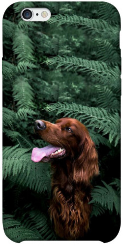 Чехол itsPrint Собака в зелени для Apple iPhone 6/6s plus (5.5")