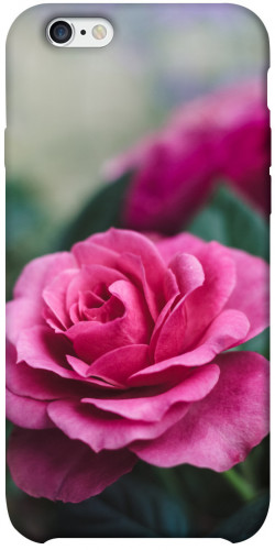 Чохол itsPrint Троянда у саду для Apple iPhone 6/6s plus (5.5")
