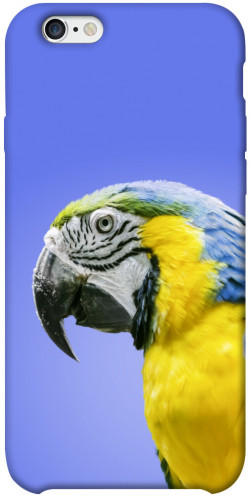 Чехол itsPrint Попугай ара для Apple iPhone 6/6s plus (5.5")