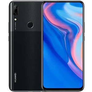 P Smart Z