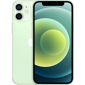 iPhone 11 (6.1")