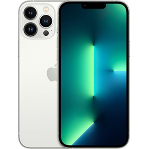 iPhone 13 Pro Max (6.7")